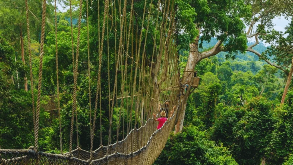 Kakum National Park
