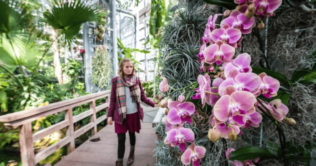 United States Botanic Garden