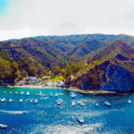 6 Things To Do For Free Catalina Island 2025