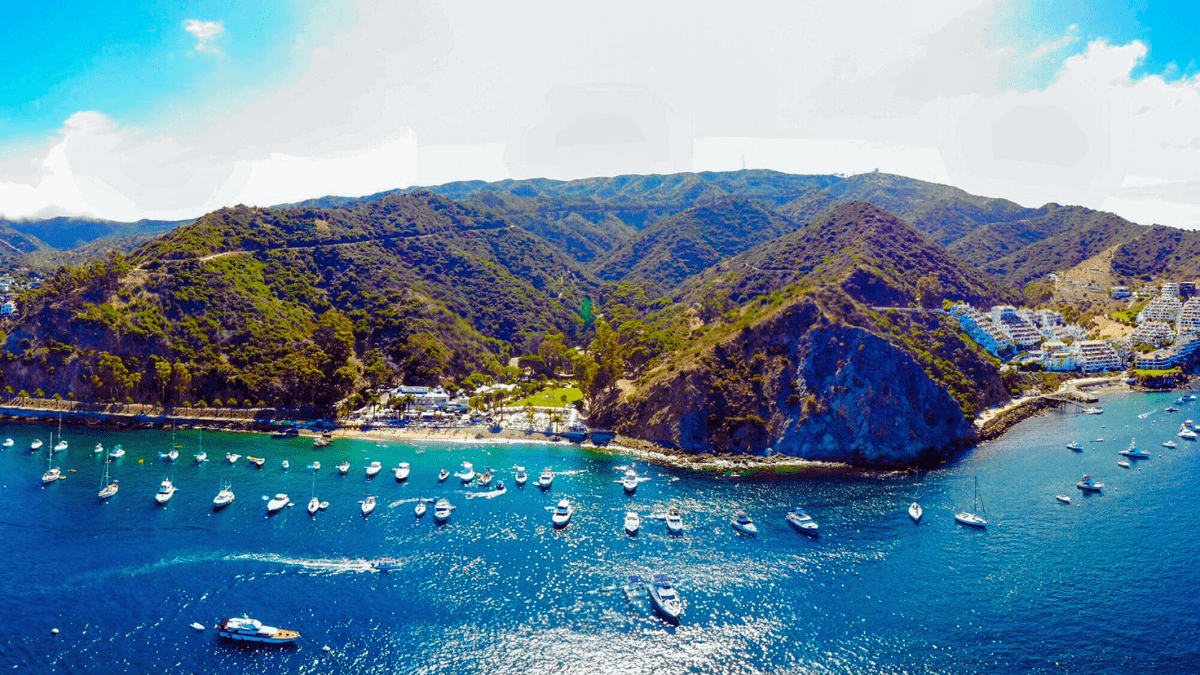 6 Things To Do For Free Catalina Island 2025