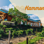 Things To Do In Hammondsport NY 