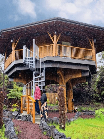 Bamboo Tree House