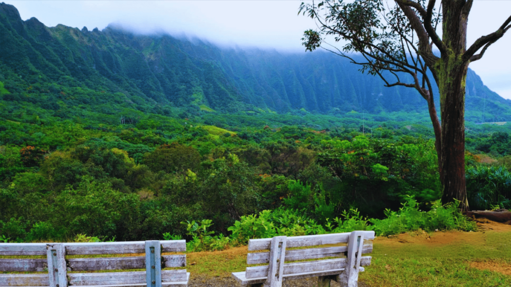 Hoomaluhia Botanical Gardens Hawaii