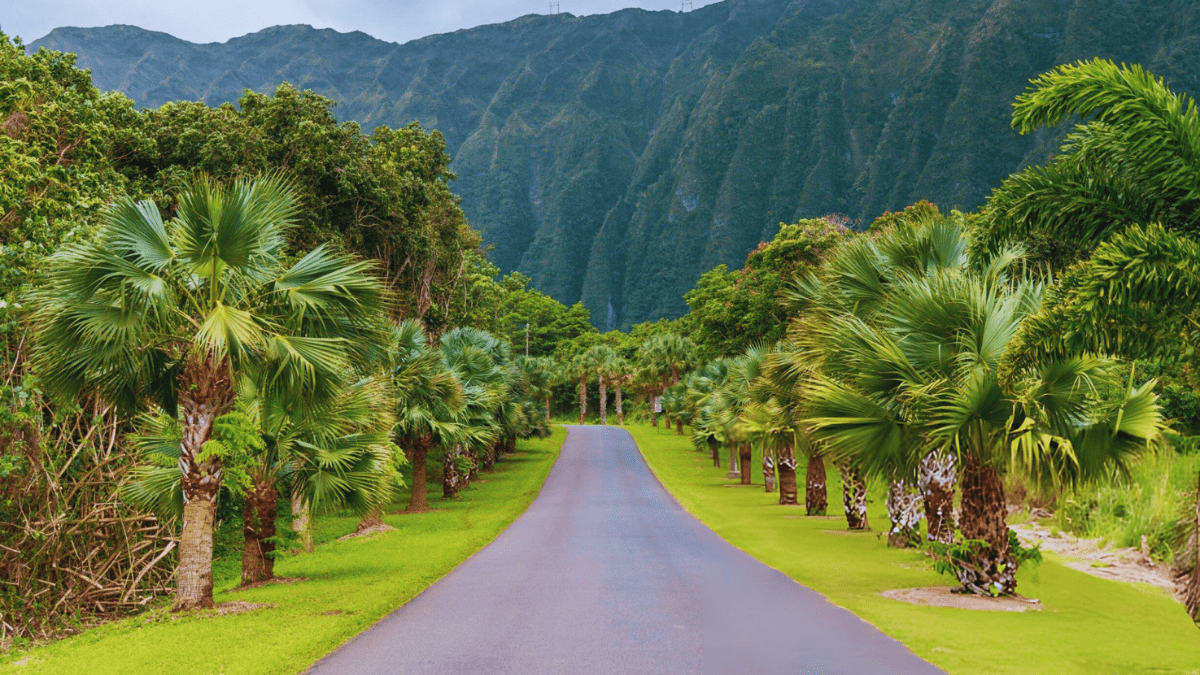 Hoomaluhia Botanical Gardens scenic view with lush greenery and mountains