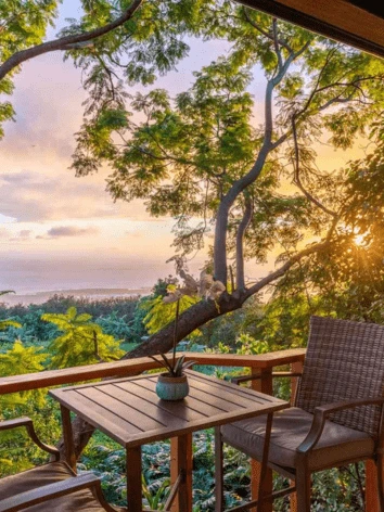 Luxury Treehouse ocean rainforest view