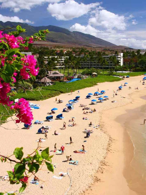 sandy beach maui