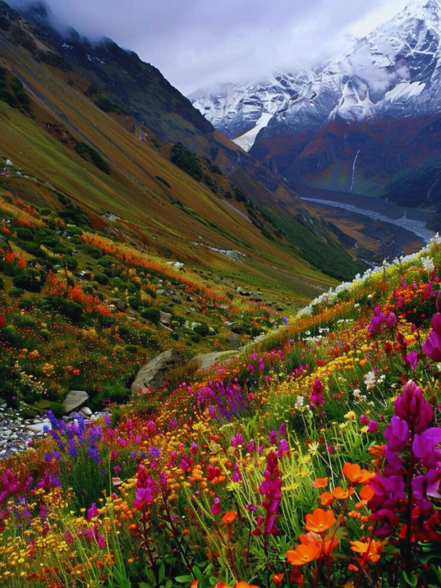 भारत की 10 ऐसी गुप्त जगहें जो कश्मीर से भी सुन्दर है।